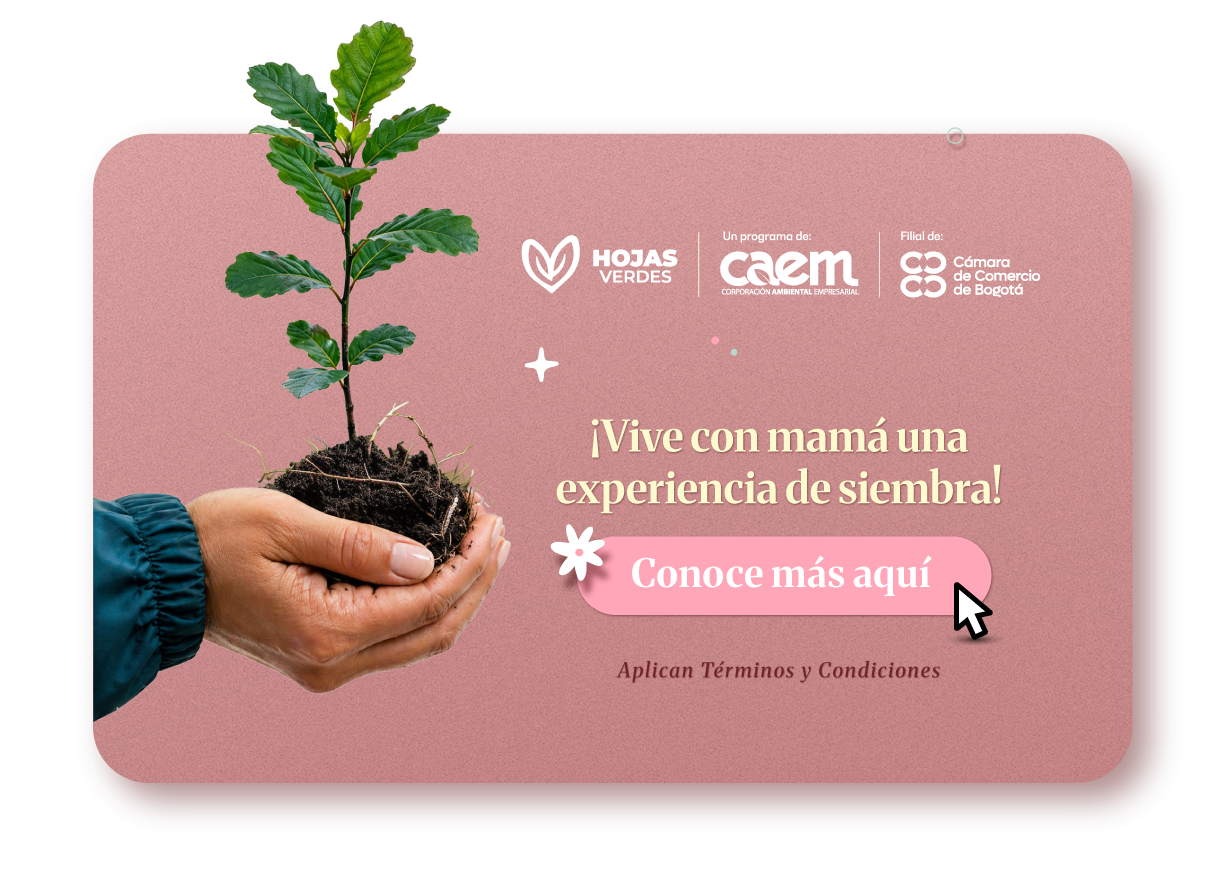 Promoción CAEM