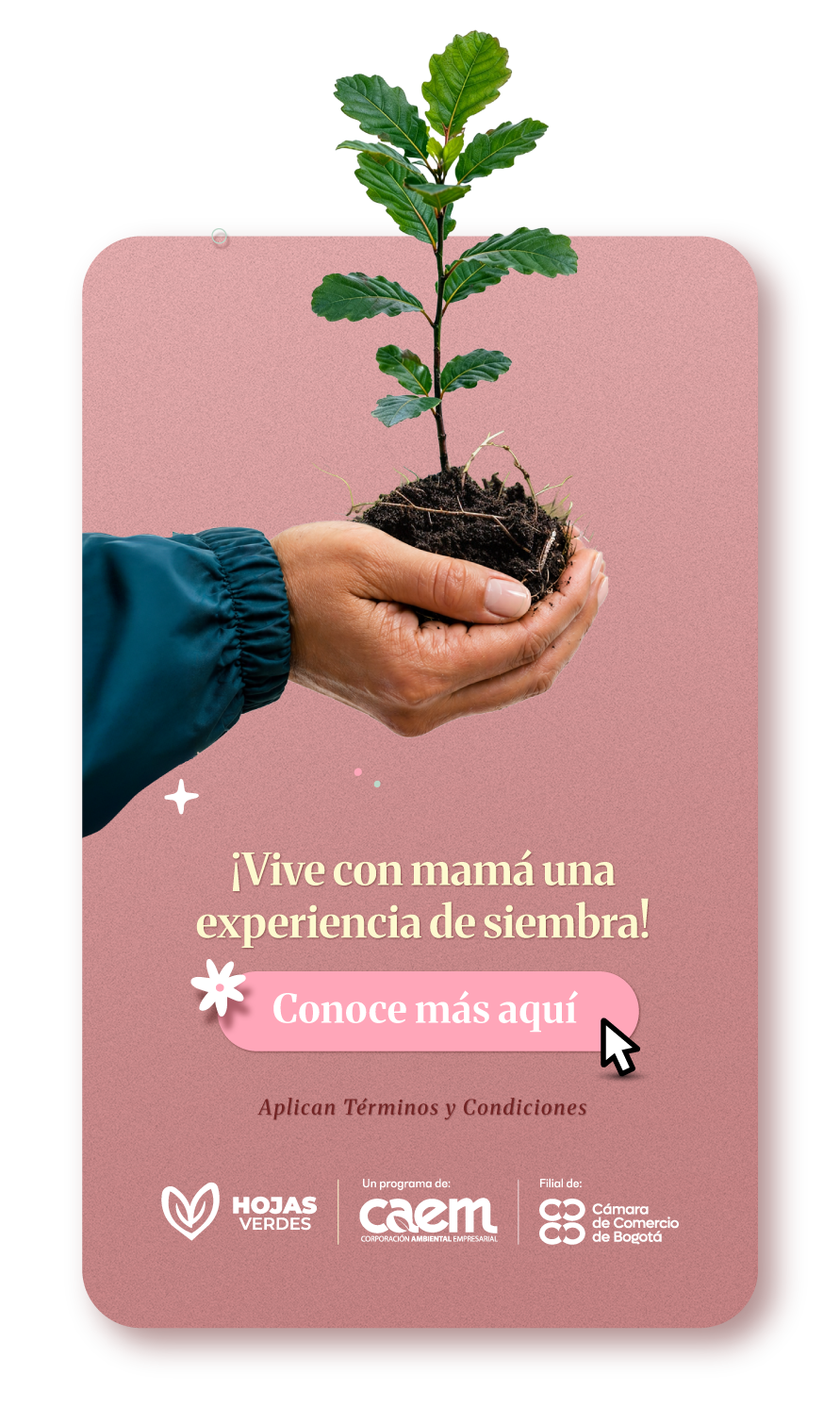 Promoción CAEM